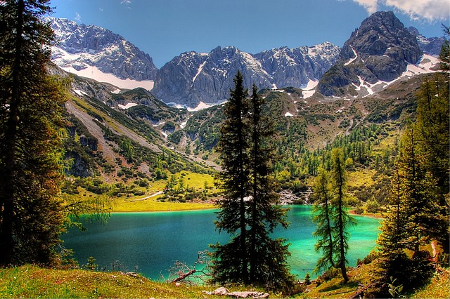 提前预判
