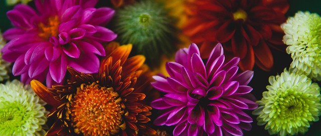 美记：字母哥最终加盟热火是最合理的选择