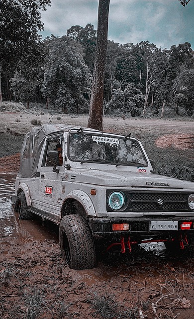 记者：拜仁考虑通过引进巴莱巴以顶替去向未明的格雷茨卡