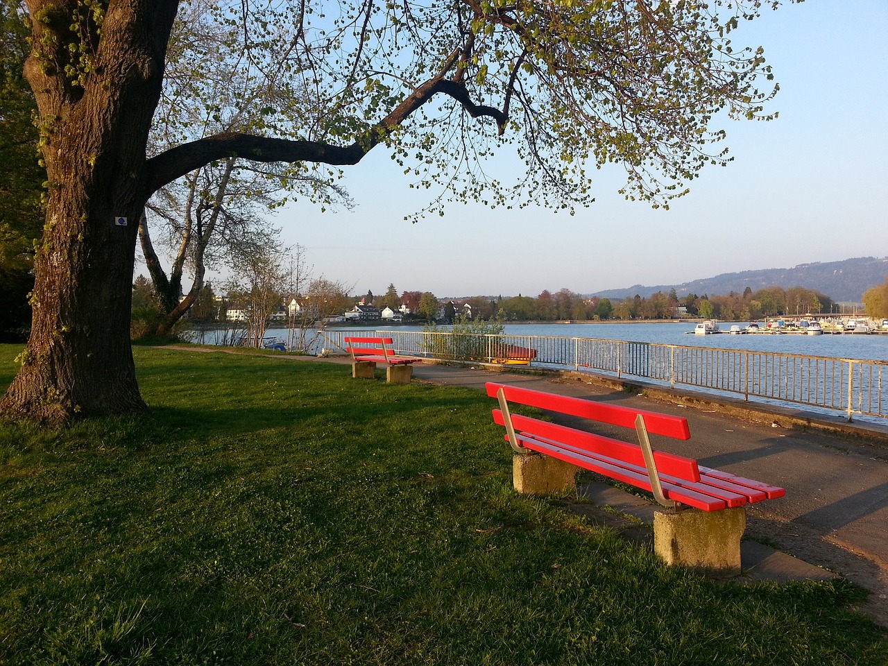 徐正源：遗憾今年没有取得想要的结果；会全主力出战深圳