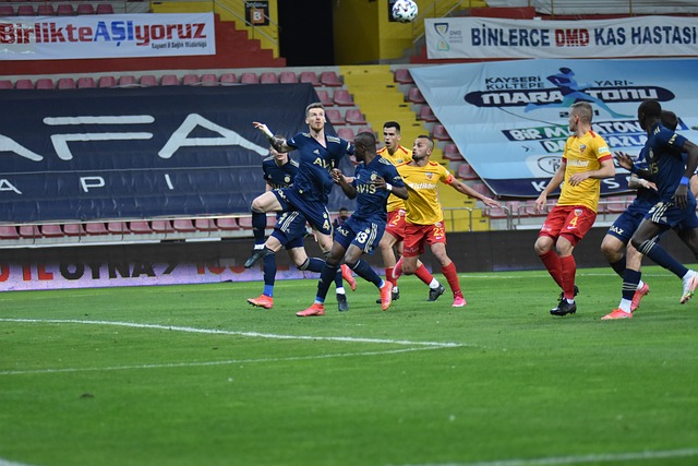 明星球员的 明星球员的