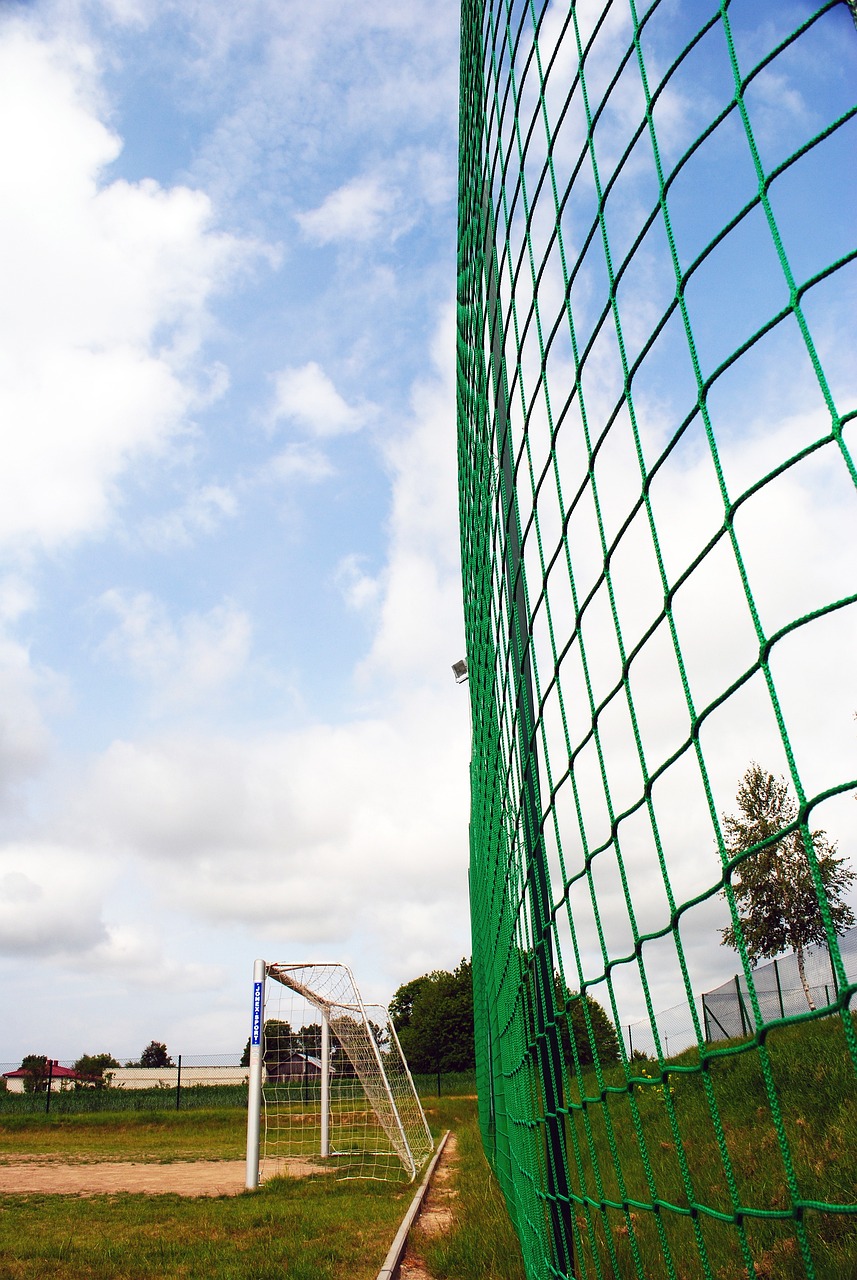 形成了一種 形成了一種