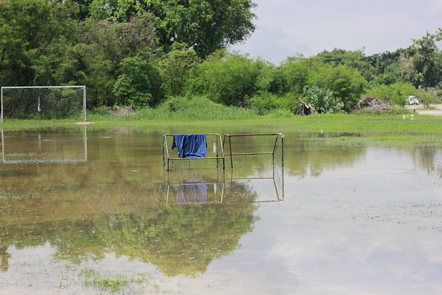 韋恩托斯在 韋恩托斯在