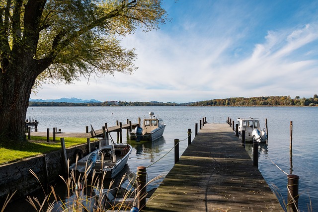 術和社交媒 術和社交媒