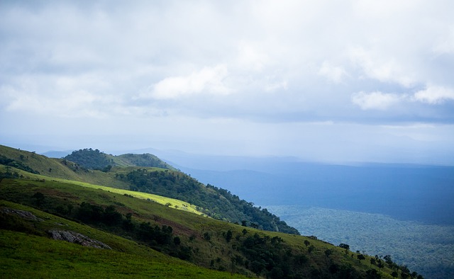 皇家马德里 皇家马德里