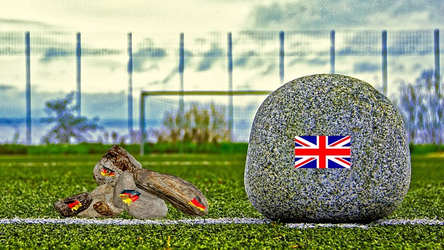 定主帅的适 定主帅的适